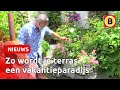 Een vakantiegevoel in je tuin, dat is helemaal niet zo moeilijk | Omroep Brabant