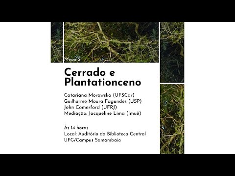 O Cerrado e Plantationceno