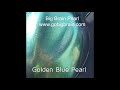 Extreme Pearl Big Brain Graphics Mega Shift Pearl Additive Paint gobigbrain.com