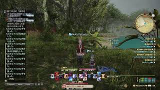 FF14  my  sisterとゲーム久しぶりにできたー。