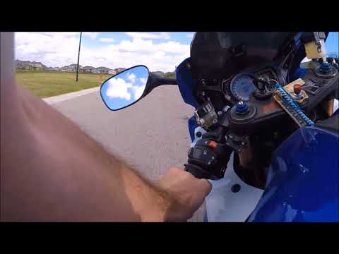 Trail dog Maggie & GSXR 3 1 18