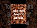 Top 10 Health Benefits of Star Anise