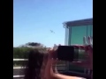 dumb bird sad :(