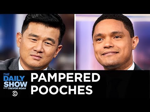 Everything Is Stupid - A Life of Luxury for Dogs | The Daily Show