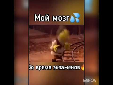 Мой мозг во время экзамена