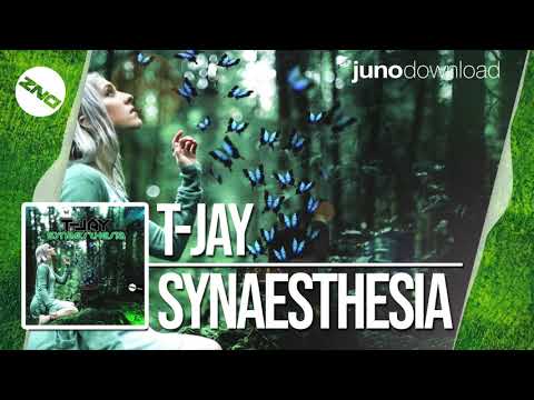DNZF530 // T-JAY - SYNAESTHESIA (Official Video DNZ Records)
