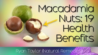 Macadamia Nuts: Benefits and Uses