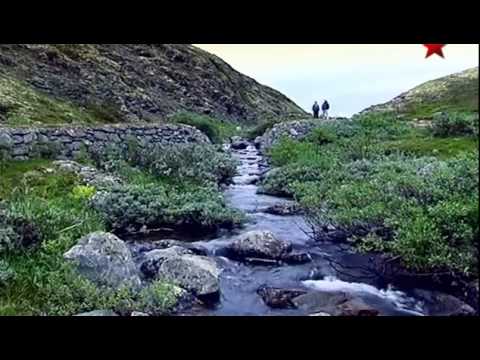  
            
            Заполярье  Война на скалах (Кольский полуостров)
            
        