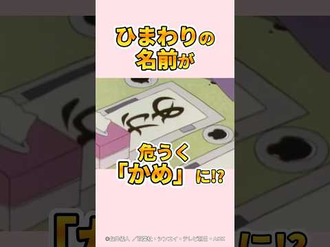 【感動】ひまわりの名前が危うく「かめ」に!?『赤ちゃんの名前が決まったゾ』#クレヨンしんちゃん #感動する話 #野原みさえ #野原ひろし #ひまわり