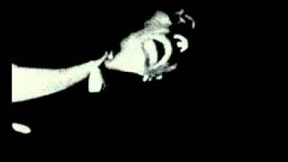 Silkworm - Written On The Wind