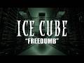 Ice Cube Freedumb Lyric Video