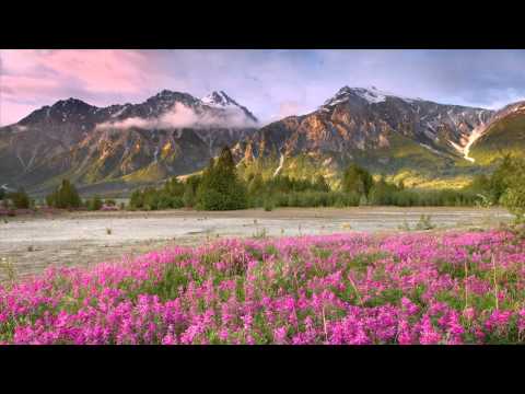 Exaya - Nothing For You [DJ D'mente Remix]