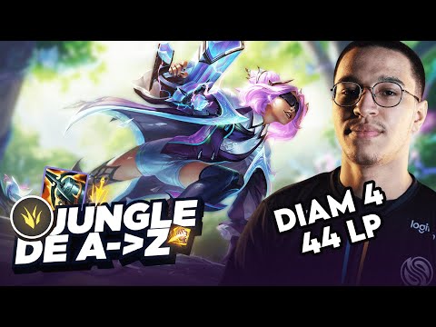 JUNGLE DE A à Z - ÉPISODE BONUS #15 ZERI : CARRY LA GAME AVEC UN AD EN JUNGLE C'EST POSSIBLE ?