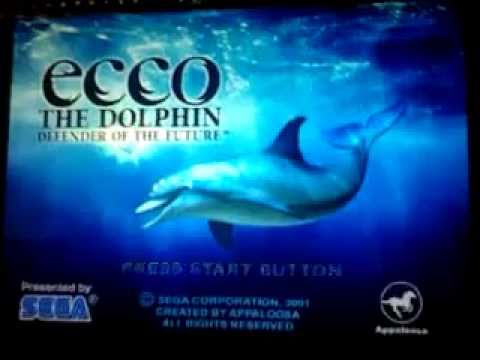 eco dolphin game pc