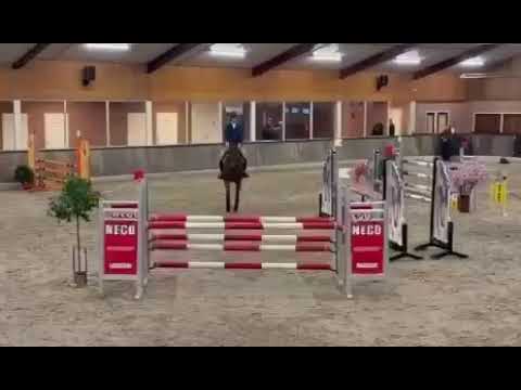 Onmeunig (CARRERA VDL x STAKKATO) - Video 2 video thumbnail