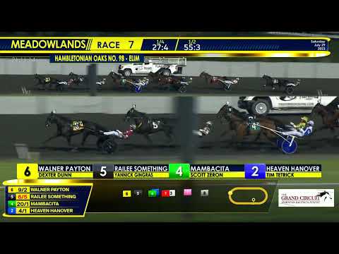 July 29, 2023 - Hambletonian Oaks Elimination - Race 7