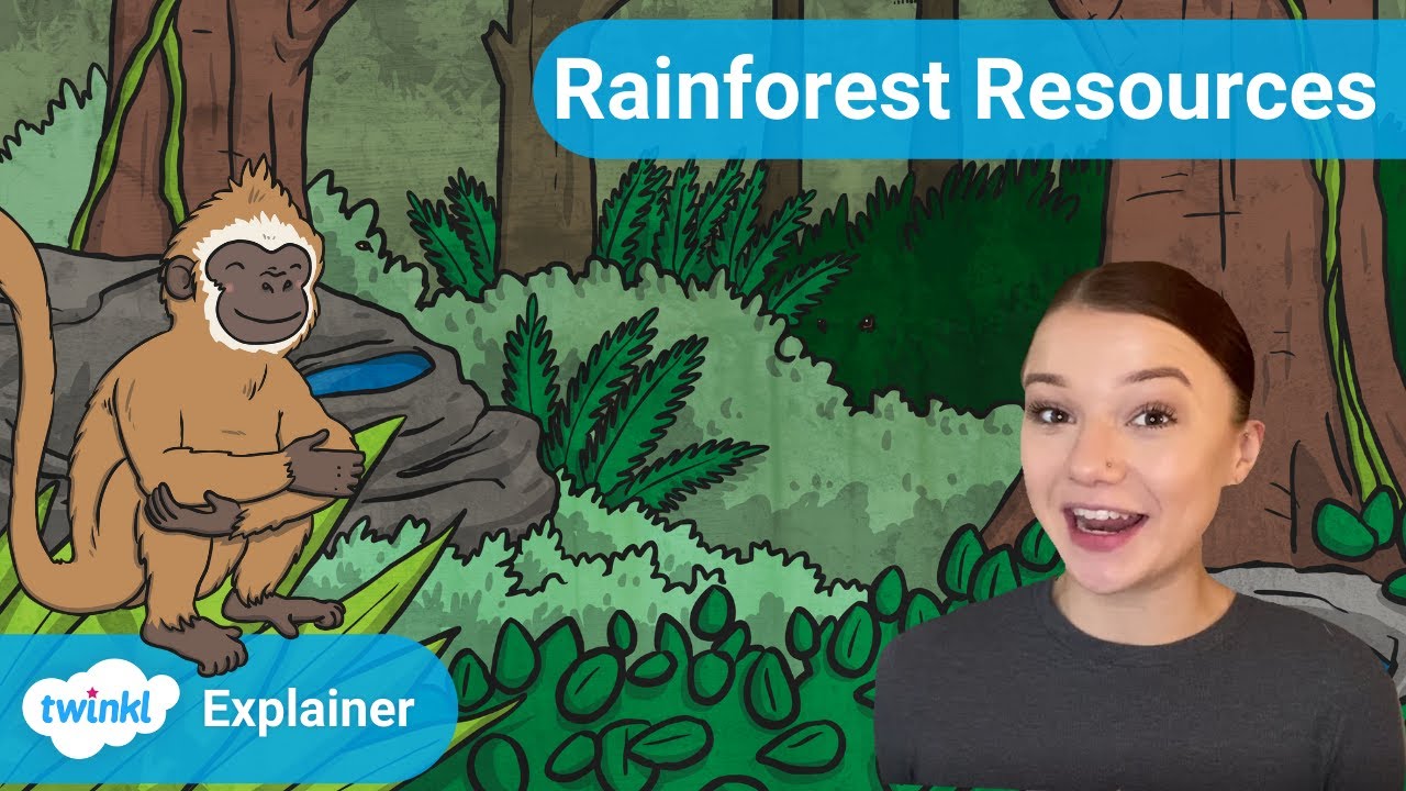 KS2 Rainforest Resources