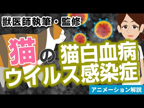 猫汎白血球減少症:症状と治療法