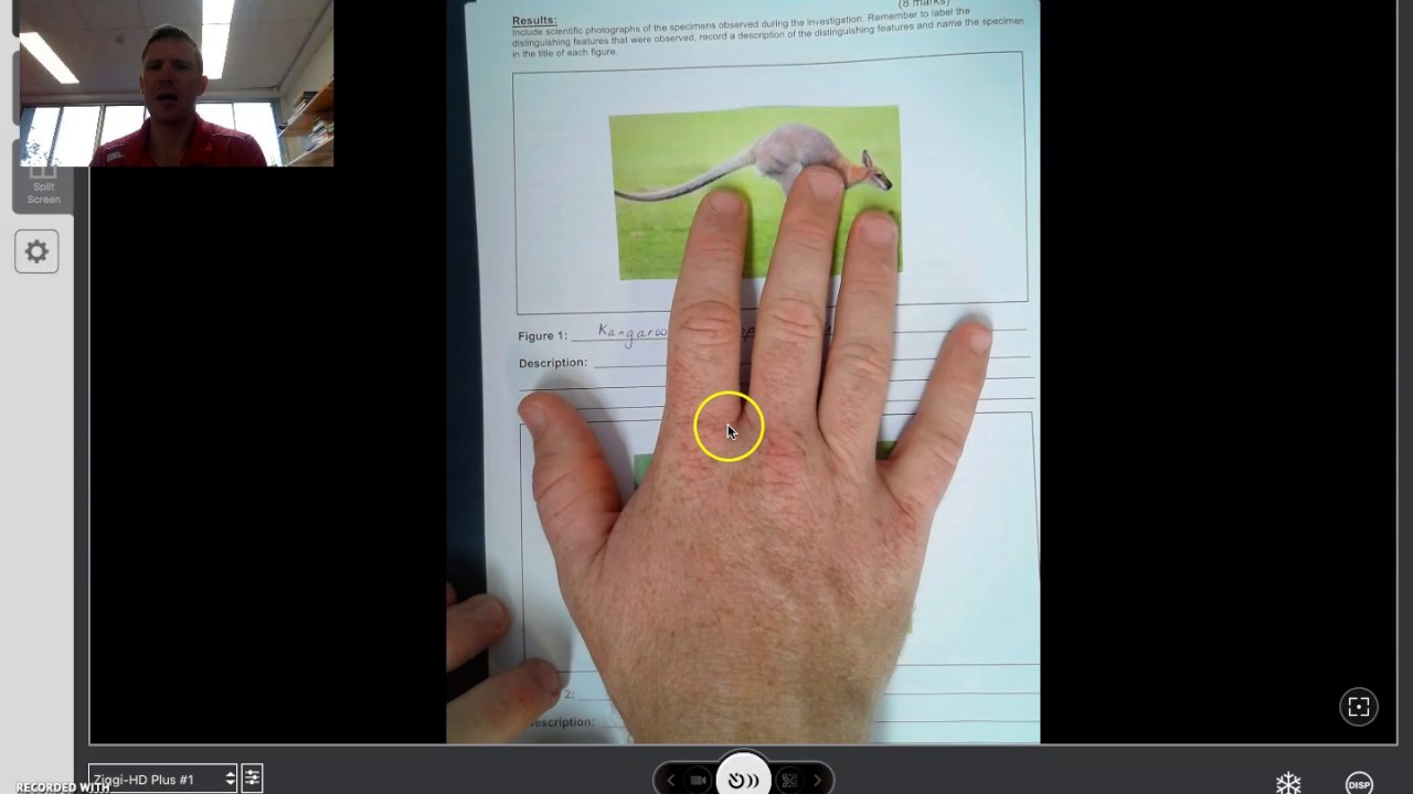 Scientific Diagrams Task 1 7 SCI - Mr H