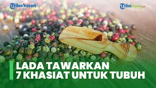 7 Khasiat Lada untuk Tubuh, Mencegah Kanker hingga Dapat Menurunkan Kolestrol