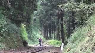 preview picture of video '阿里山森林鐵道4~水山線(二部曲)~台灣登山車旅行路線之20'