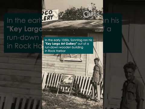 The Hermit Artist of Key Largo #shorts