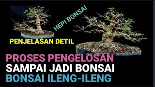 Download lagu PENJELASAN DETIL PEMBIKINAN BONSAI ILENG-ILENG DARI BAHAN SAMPAI JADI mp3 Download lagu PENJELASAN DETIL PEMBIKINAN BONSAI ILENG-ILENG DARI BAHAN SAMPAI JADI mp3