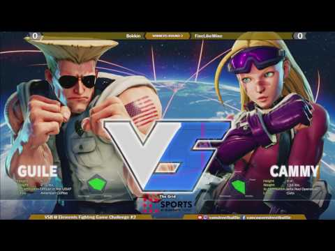 Elements Fighting Game Challenge #2 - W2 - FineLikeWine vs Bokkin