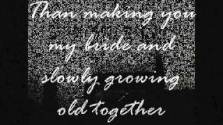 The Postal Service - Nothing Better - Lyrics