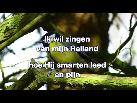 Opwekking 226 Ik wil zingen van mijn Heiland 1B