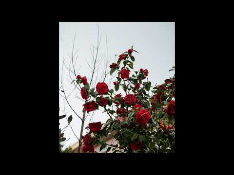 [FREE] guardin x fats'e type beat |  "get out" (prod jolst x 5head)