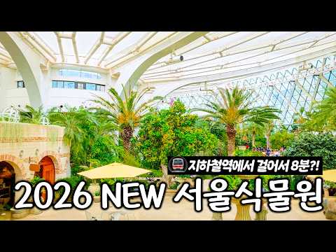 서울 최초 보타닉파크: 식물원으로의 힐링 여행 가이드