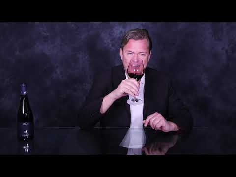 Domaine de Gensac SOLO 2009 Vo English