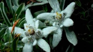 Giorgia and Ronan Keating we&#39;ve got tonight