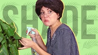 When Abuela Throws Shade