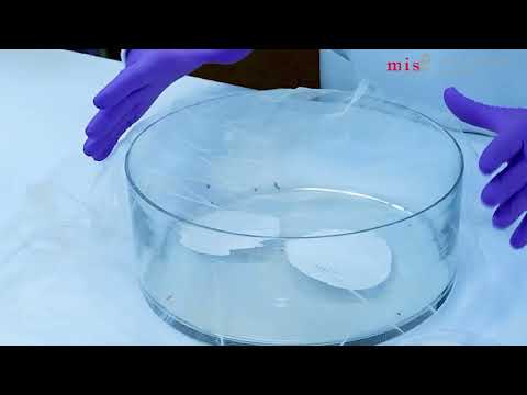 Harborage Choice Test