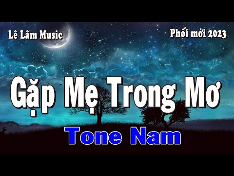 Karaoke - GẶP MẸ TRONG MƠ Tone Nam | Lê Lâm Music