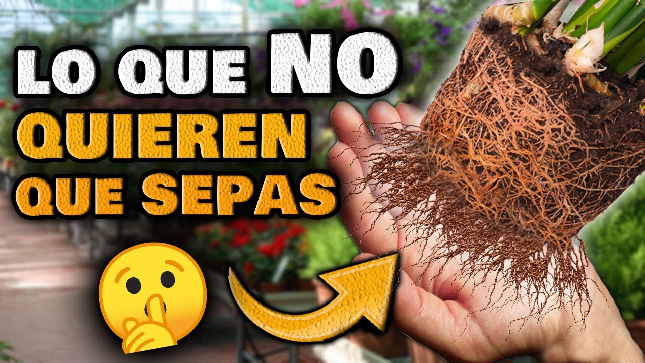 Los VIVEROS NO QUIEREN que SEPAS ESTO | 3 SECRETOS para Cuidar tus PLANTAS Huerto Urbano Jardín