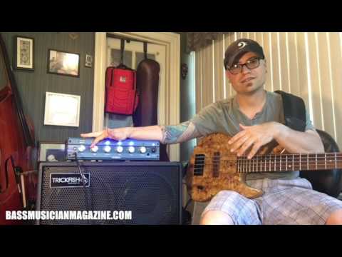 Bass Musician Magazine Reviews Trickfish Bullhead & 410 HD Cab