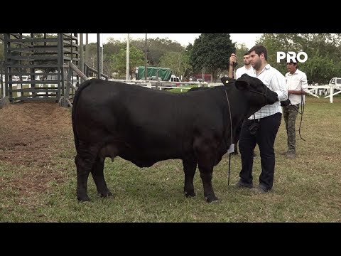 Brangus realizó charla sobre criterios de selección