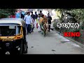 Diwali King Sonya Gove