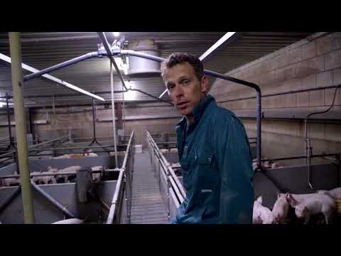 Een portret van Boert Bewuste Erik Geene