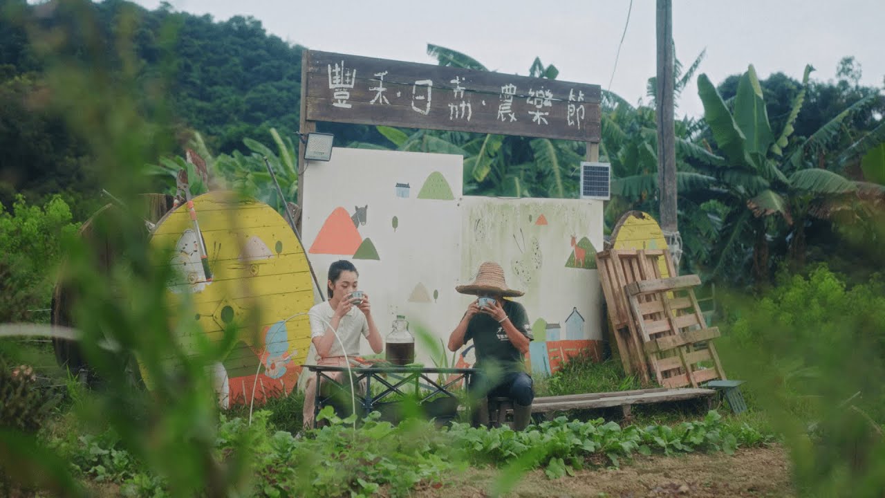 Walk through heritage houses and mangroves in Lai Chi Wo.