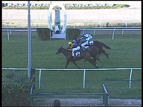 Galoppo 19/11/2014 - 1°corsa