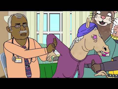 Stubagful Reviews Bojack Horseman Season 4