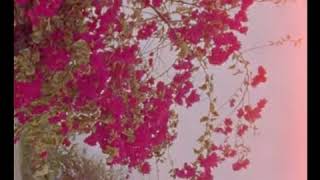 Write A River Music Video