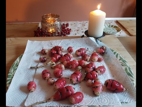 Growing Oca | New Zealand Yam | Harvesting and Taste Test