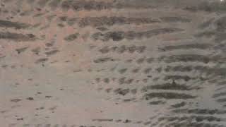 Jeff Greinke - IN A THICKET (1990)