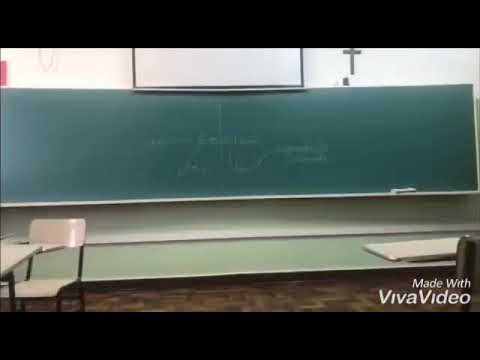 Trabalho biologia- estrobilação