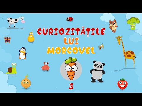Să Învățăm Cu Morcovel - Curiozitățile Lui Morcovel Episodul 3